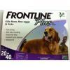Frontline Plus 大型狗